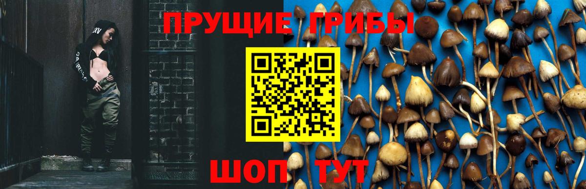 Галлюциногенные грибы Magic Shrooms Рязань