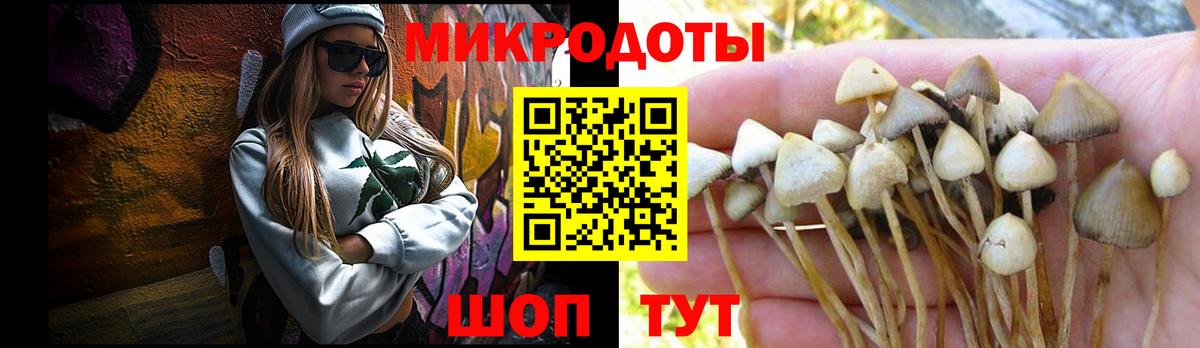 Рязань  где продают наркотики  Псилоцибиновые грибы мицелий  Вход с VPN  Галлюциногенные грибы GOLDEN TEACHER 